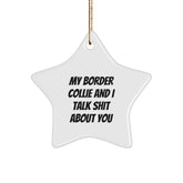 Funny Star Ornament for Border Collie Dog Lovers, Gifts from Family to Friends, Unique Christmas Decorations with 'My Border Collie And I Talk Shit About You' Quote - Image 1